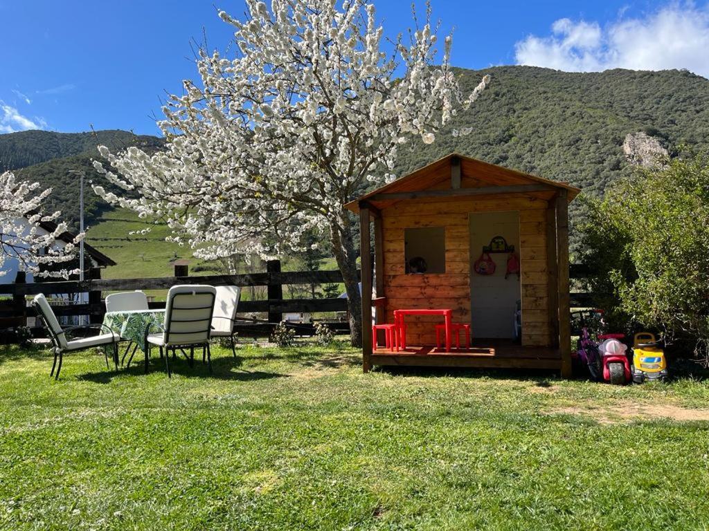 Excepcional El Olivo Appartement